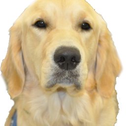 gravatar