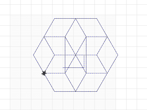 hexagonic flower