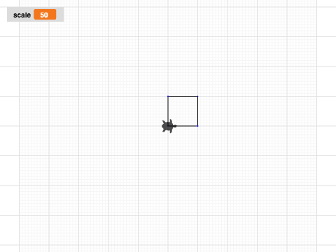 square graph paper 