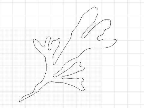 SimonSeaweed nofill