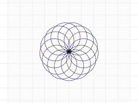 Flower 13 Petals