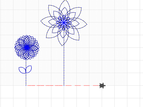 flower exploration