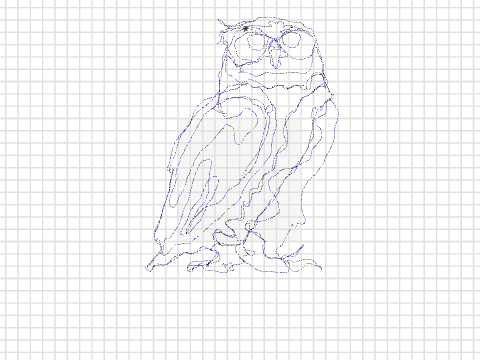 owl