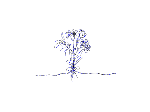 freehand drawing - Starter Blumen