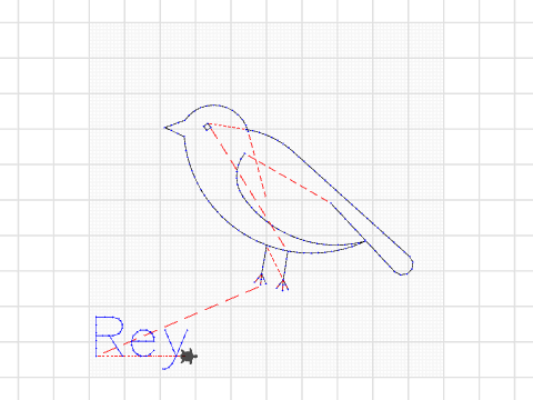 Reys Bird