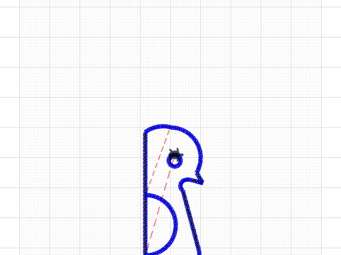 bird