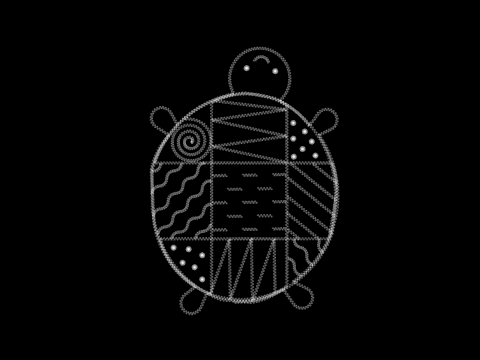 vivi turtle code