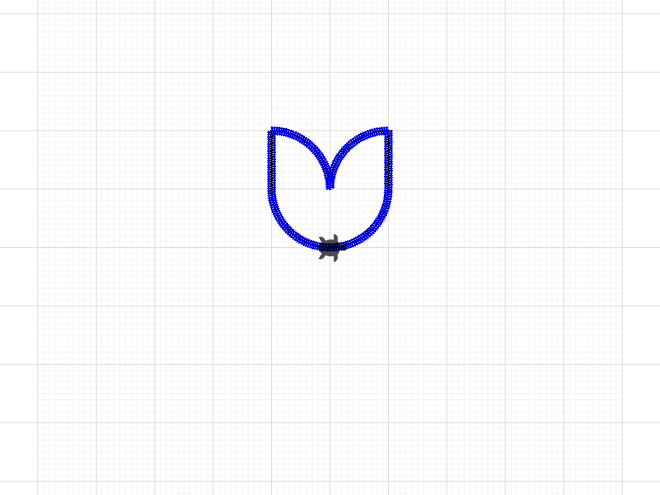 tulip