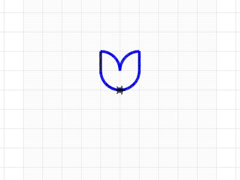 tulip flower