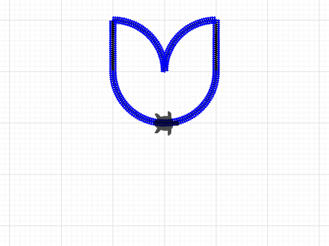 a tulip