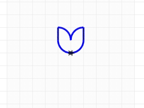 tulip